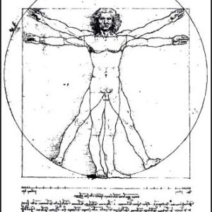 Leonardo da Vinci, der vitruvianische Mensch