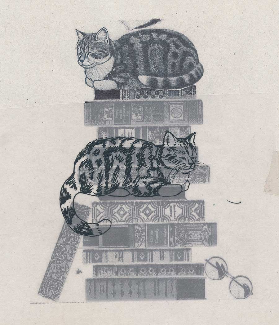 Ex Libris von Iris Schmitt - Katze auf Bücherstapel 