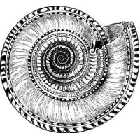 Ammonit Motivstempel
