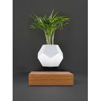 Levitating flowerpot