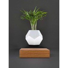 Levitating flowerpot
