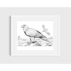 Eagle black and white graphic (b-adl) by www.exlibris-insel.de/shop