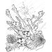 Fish, coral, diver black and white graphic (b-fi-korall) by www.exlibris-insel.de/shop
