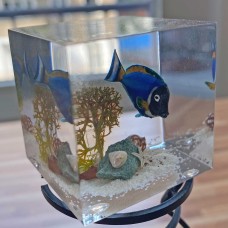 Fish and coral world in Acryblock